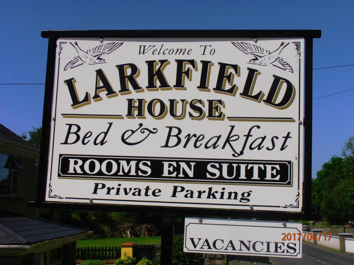 Отели типа «постель и завтрак» Larkfield House B&B Килларни-5